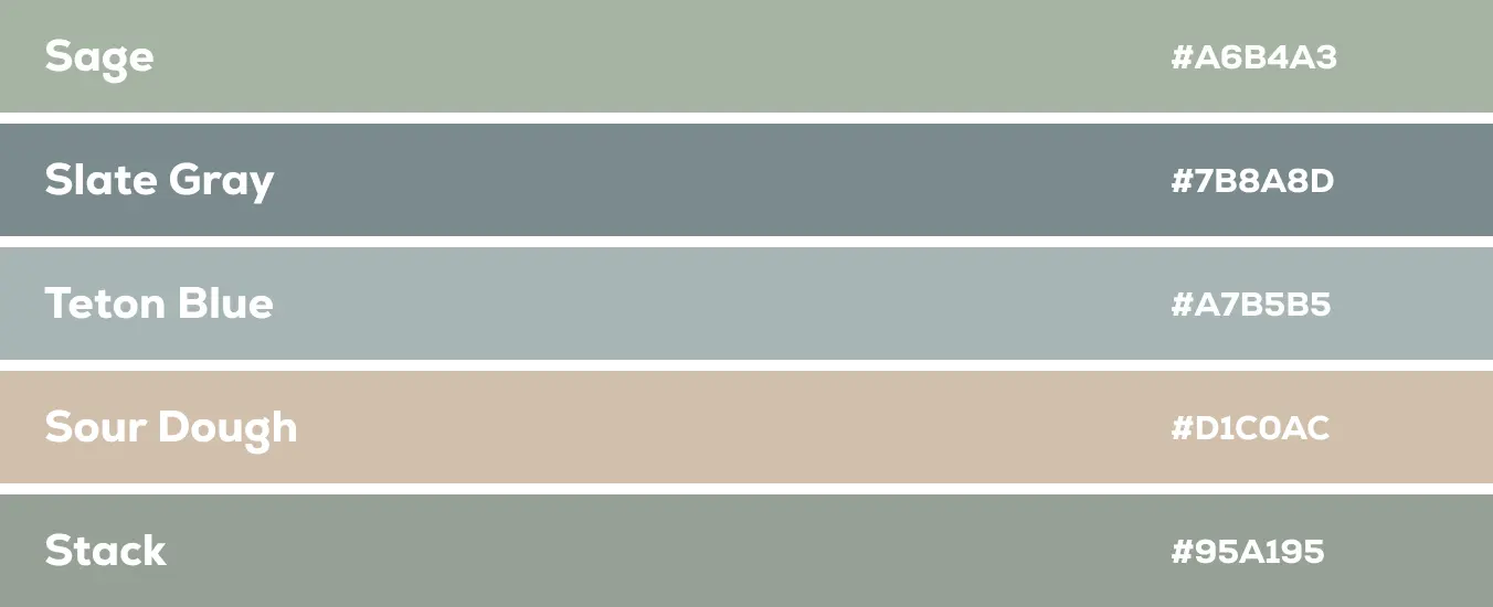 Color Palette